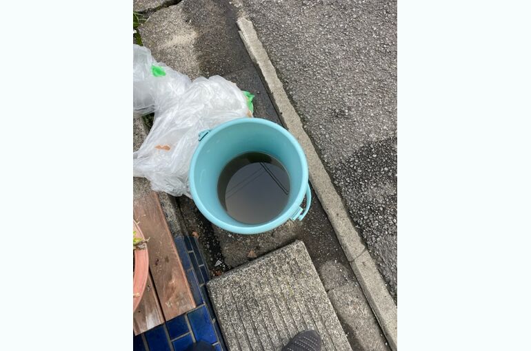 2023年7月　保土ヶ谷　あっこんち　二子玉川日常㉙